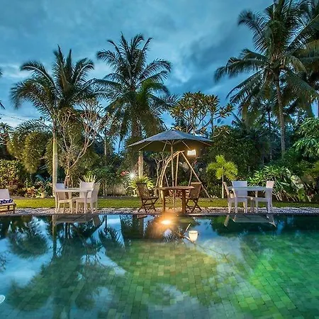 The Radian Villa Ubud Extérieur photo